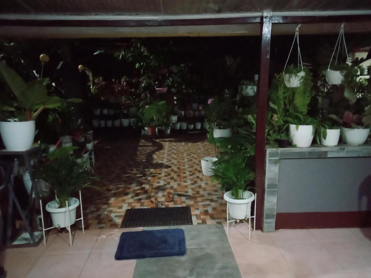 Dalinda'S Homestay Puerto Princesa Esterno foto